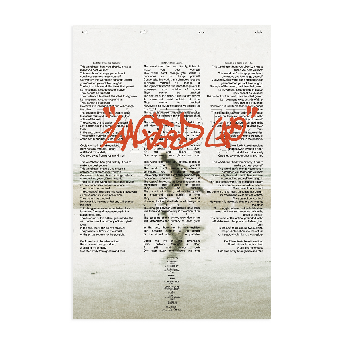 laced up poster